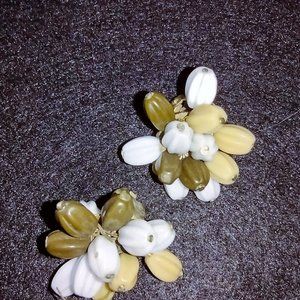 Multicolor Beaded Clip-on Earrings!